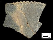 Keyser pie crust rim sherd from Delaware site 7-KF-12/30-Courtesy of the Delaware State Museums.